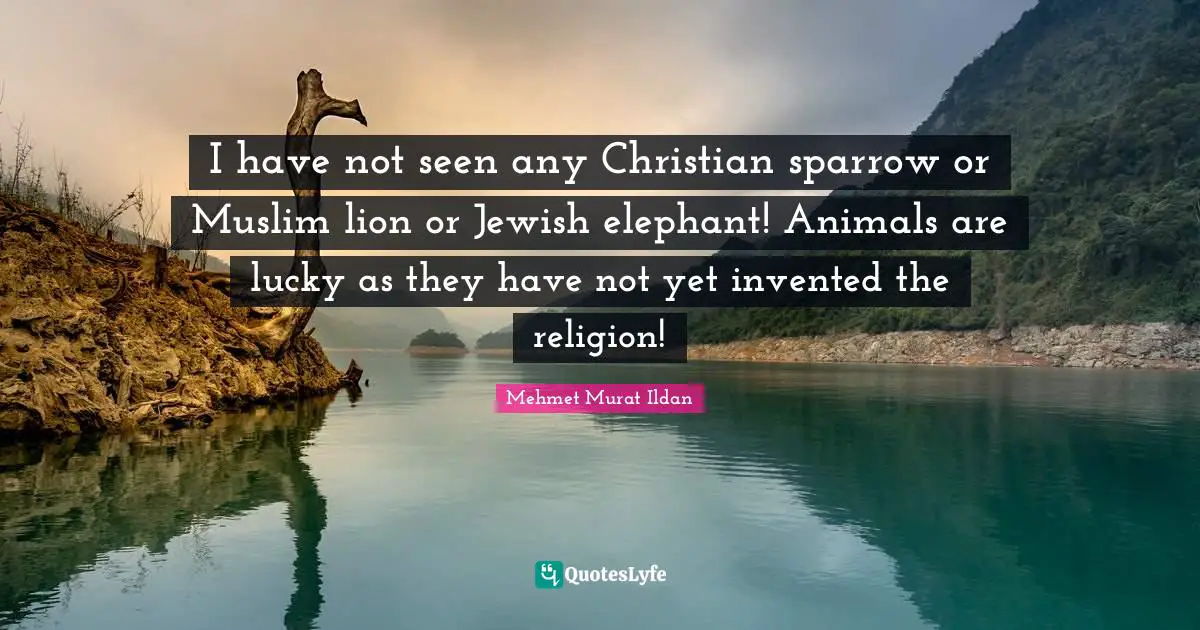 I have not seen any Christian sparrow or Muslim lion or Jewish elephant! Animals are lucky as they have not yet invented the religion!