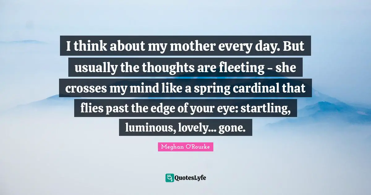 Meghan O'Rourke Quotes: "I think about my mother every day. But usually the thoughts are fleeting - she crosses my mind like a spring cardinal that flies past the edge of your eye: startling, luminous, lovely... gone."