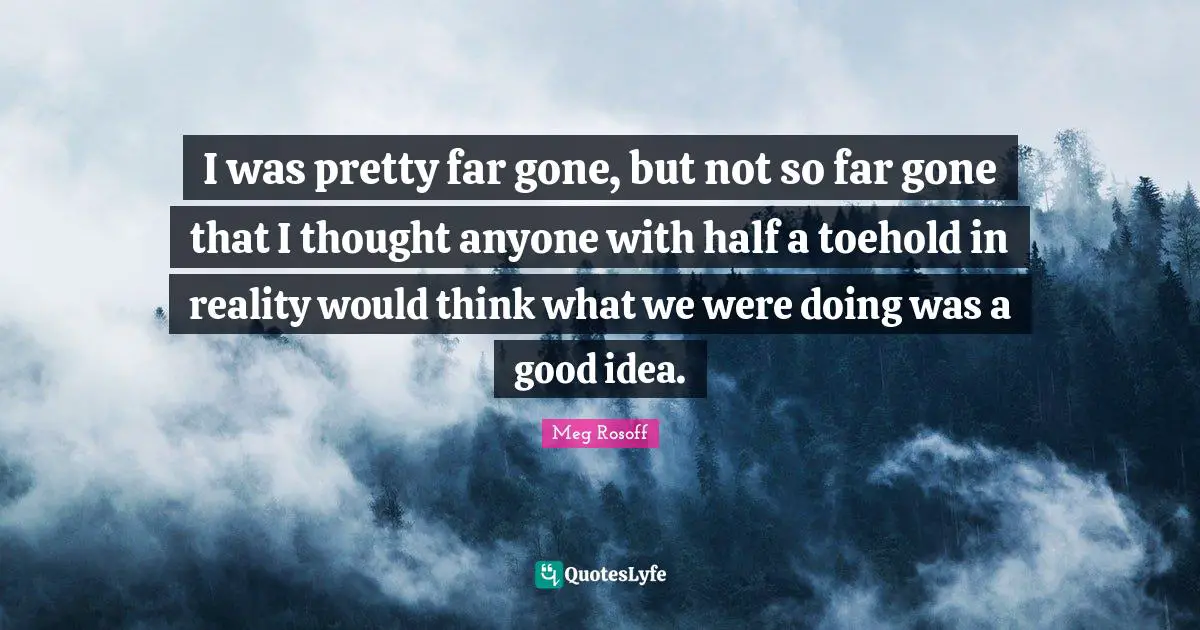I was pretty far gone, but not so far gone that I thought anyone with half a toehold in reality would think what we were doing was a good idea.