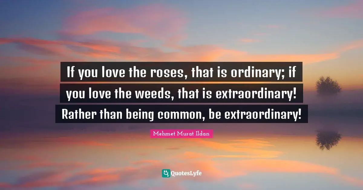 If you love the roses, that is ordinary; if you love the weeds, that is extraordinary! Rather than being common, be extraordinary!