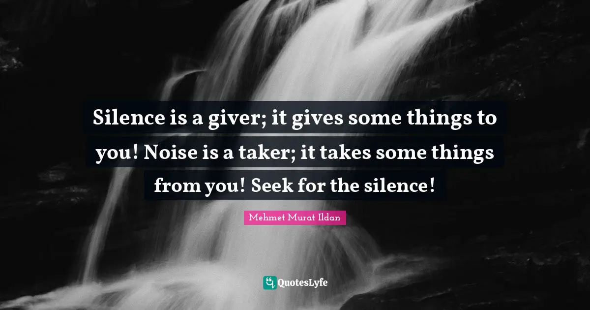 Silence is a giver; it gives some things to you! Noise is a taker; it takes some things from you! Seek for the silence!