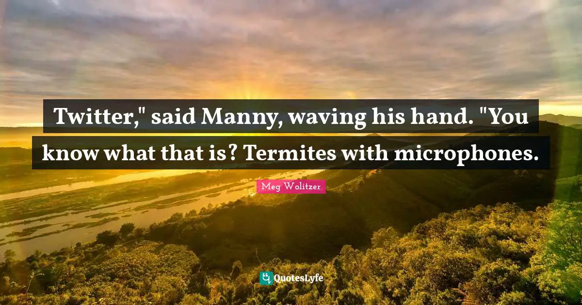 Twitter," said Manny, waving his hand. "You know what that is? Termites with microphones.