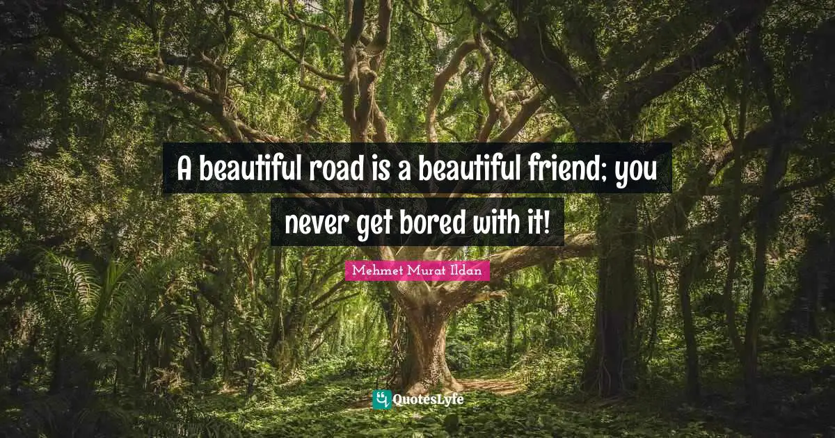 A beautiful road is a beautiful friend; you never get bored with it!