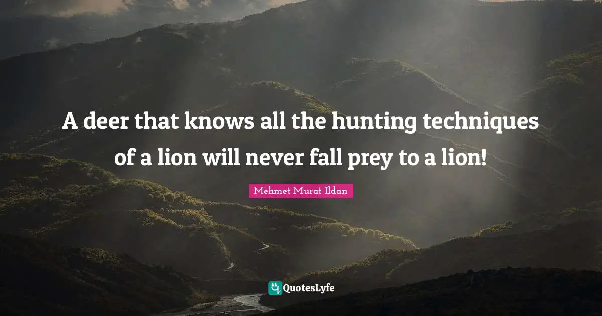 Prey Quotes: "A deer that knows all the hunting techniques of a lion will never fall prey to a lion!"