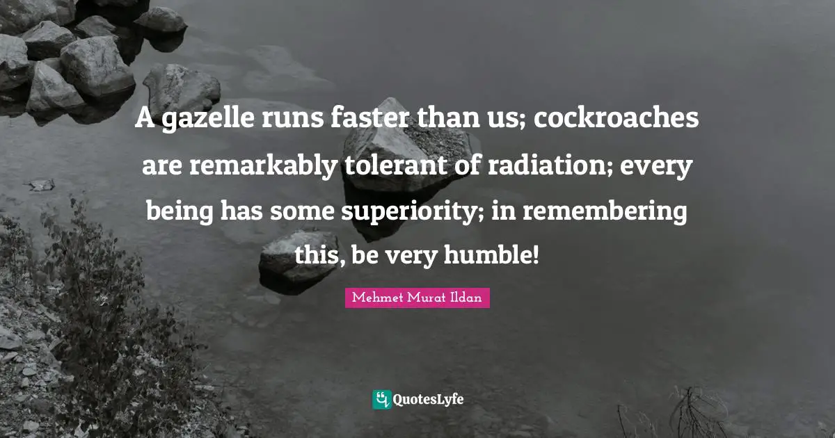 Radiation Quotes: "A gazelle runs faster than us; cockroaches are remarkably tolerant of radiation; every being has some superiority; in remembering this, be very humble!"