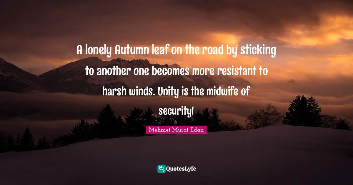 A lonely Autumn leaf on the road by sticking to another one becomes more resistant to harsh winds. Unity is the midwife of security!
