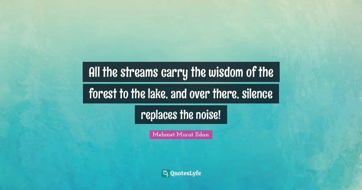 All the streams carry the wisdom of the forest to the lake, and over there, silence replaces the noise!