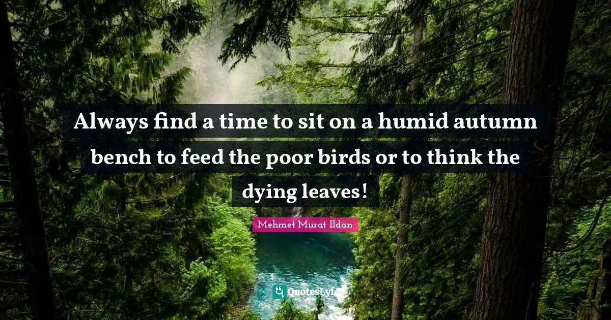 Always find a time to sit on a humid autumn bench to feed the poor birds or to think the dying leaves!