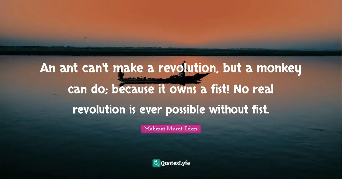 An ant can't make a revolution, but a monkey can do; because it owns a fist! No real revolution is ever possible without fist.