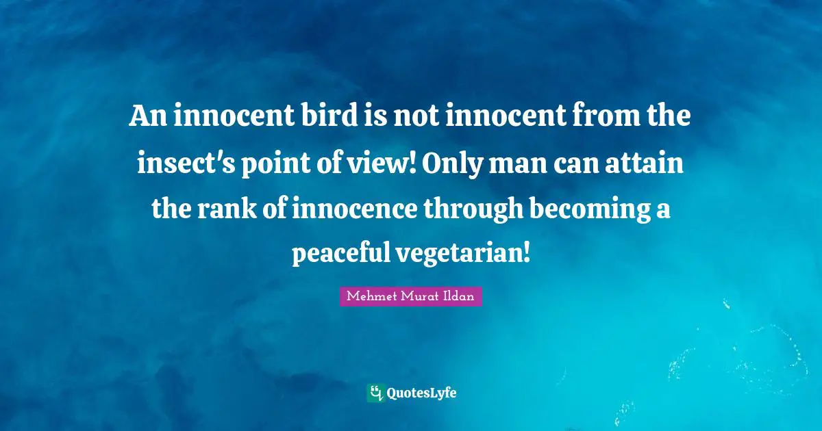 An innocent bird is not innocent from the insect's point of view! Only man can attain the rank of innocence through becoming a peaceful vegetarian!