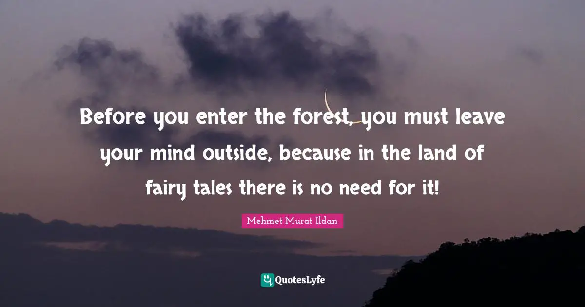 Before you enter the forest, you must leave your mind outside, because in the land of fairy tales there is no need for it!