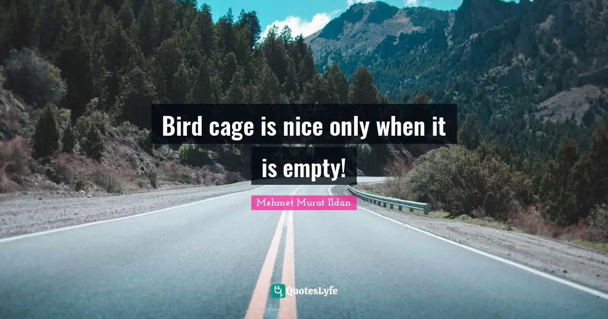 Bird cage is nice only when it is empty!