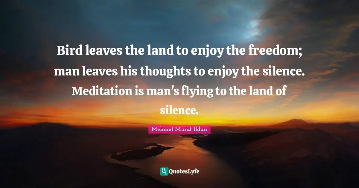 Bird leaves the land to enjoy the freedom; man leaves his thoughts to enjoy the silence. Meditation is man's flying to the land of silence.
