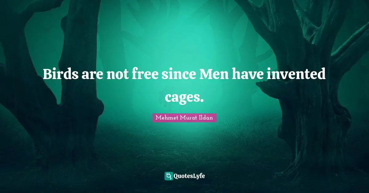 Birds are not free since Men have invented cages.