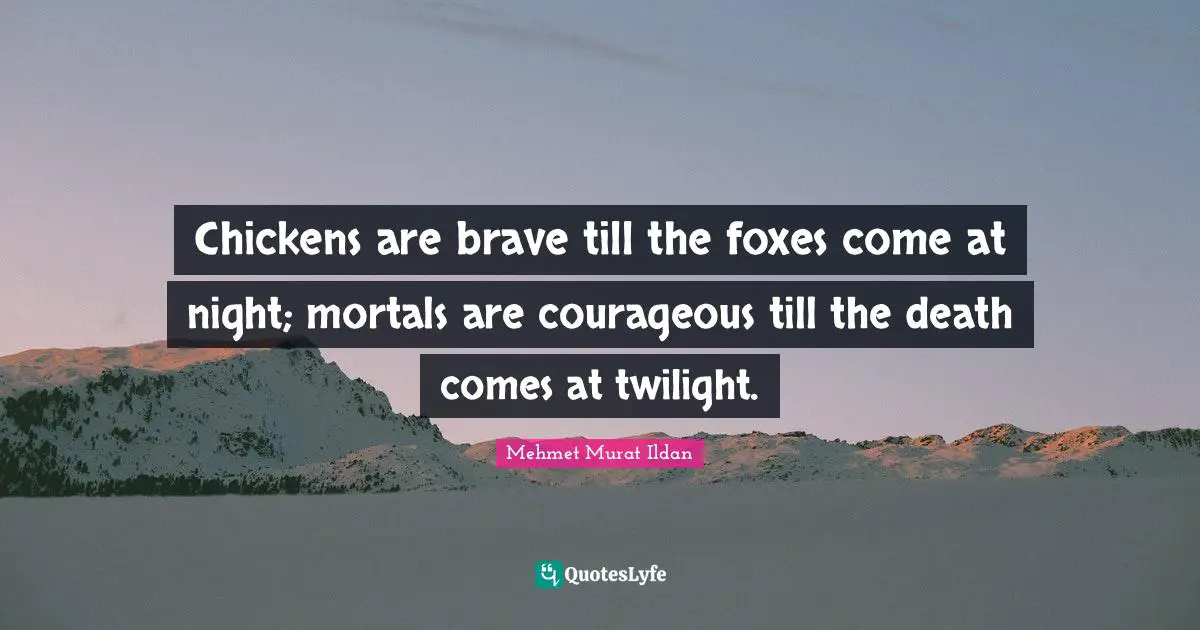 Chickens are brave till the foxes come at night; mortals are courageous till the death comes at twilight.