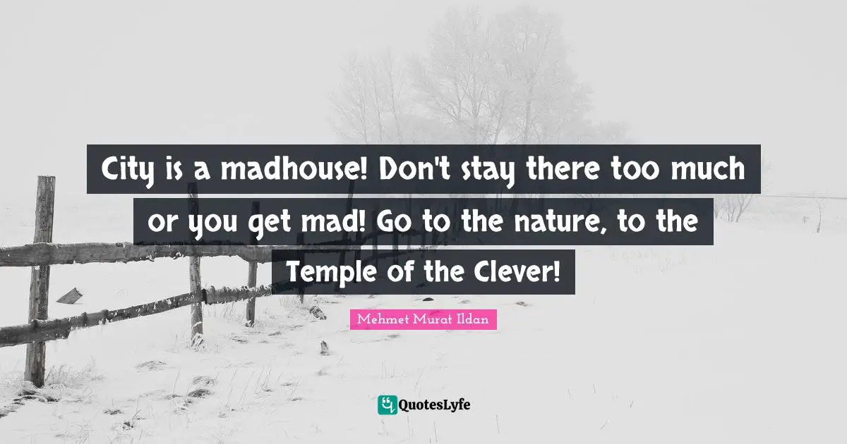 City is a madhouse! Don't stay there too much or you get mad! Go to the nature, to the Temple of the Clever!