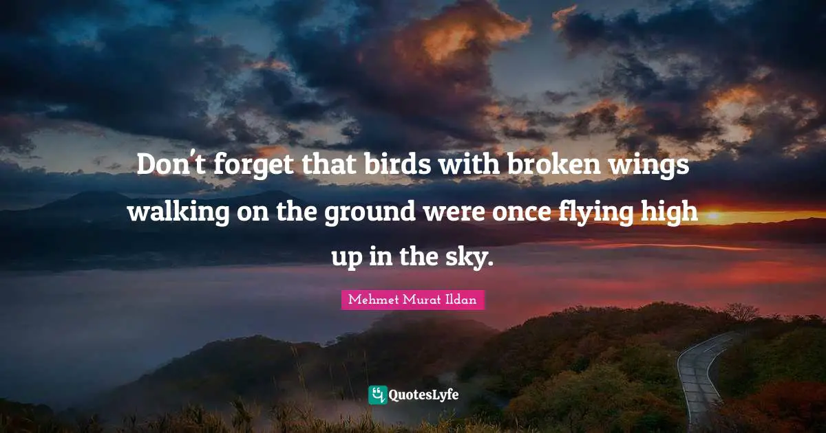 Don't forget that birds with broken wings walking on the ground were once flying high up in the sky.