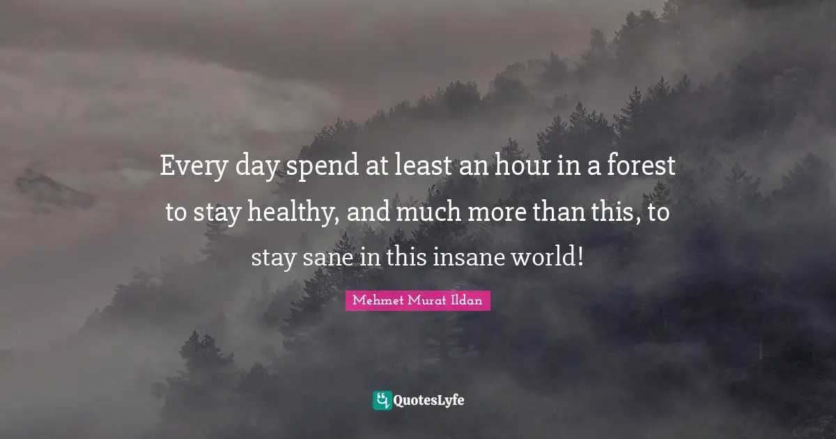 Every day spend at least an hour in a forest to stay healthy, and much more than this, to stay sane in this insane world!