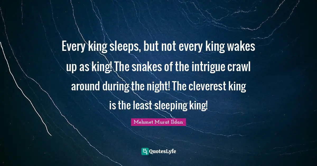 Every king sleeps, but not every king wakes up as king! The snakes of the intrigue crawl around during the night! The cleverest king is the least sleeping king!
