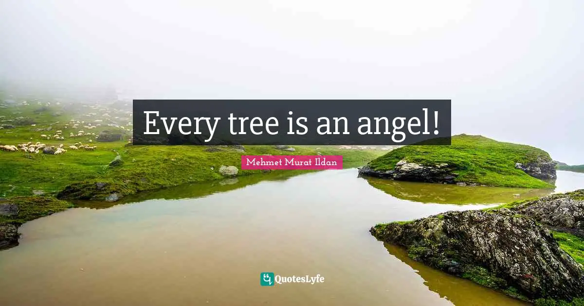 Every tree is an angel!
