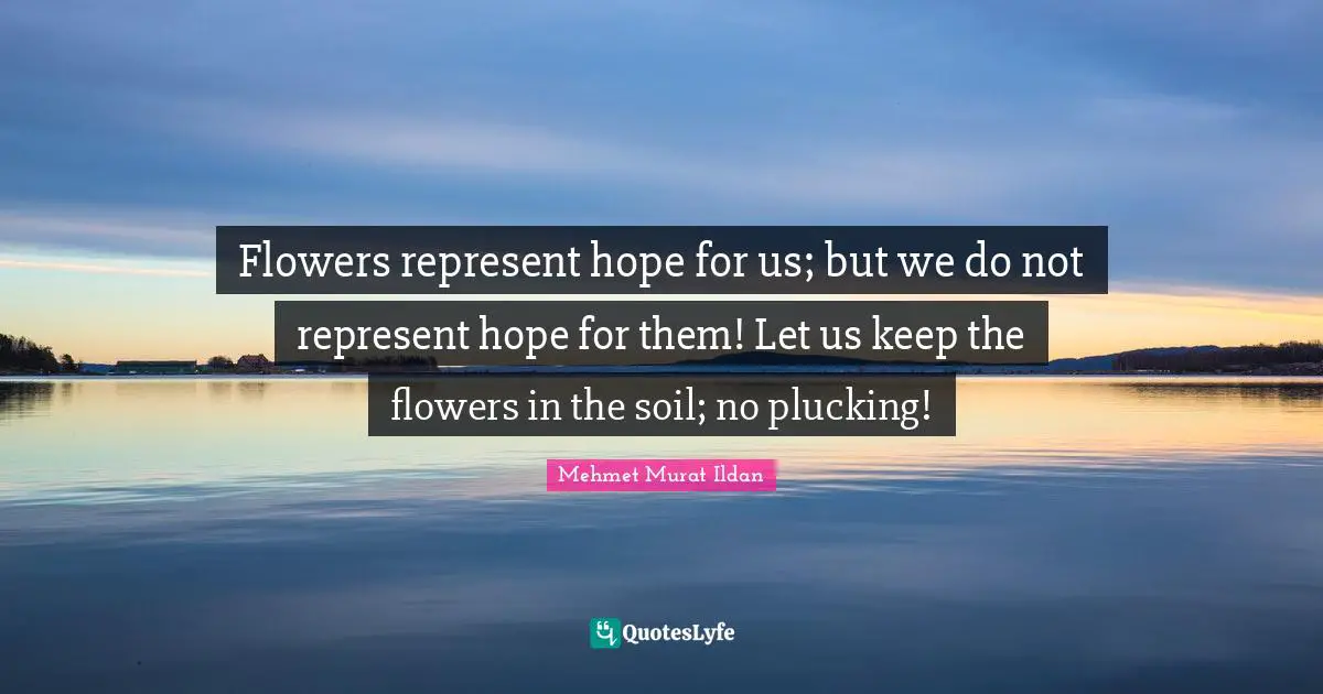 Flowers represent hope for us; but we do not represent hope for them! Let us keep the flowers in the soil; no plucking!