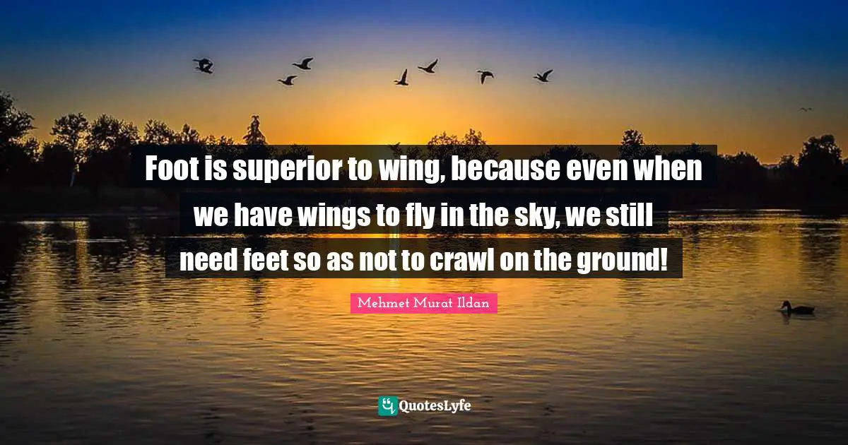 Foot is superior to wing, because even when we have wings to fly in the sky, we still need feet so as not to crawl on the ground!