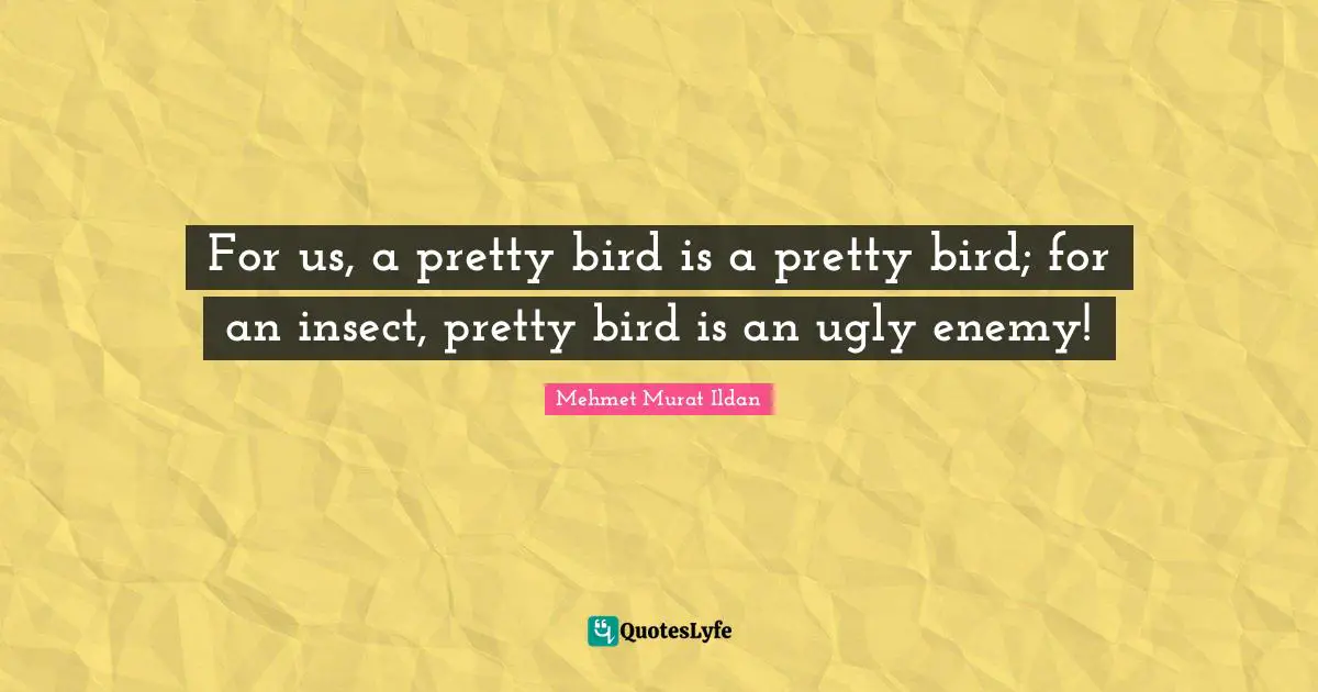 For us, a pretty bird is a pretty bird; for an insect, pretty bird is an ugly enemy!