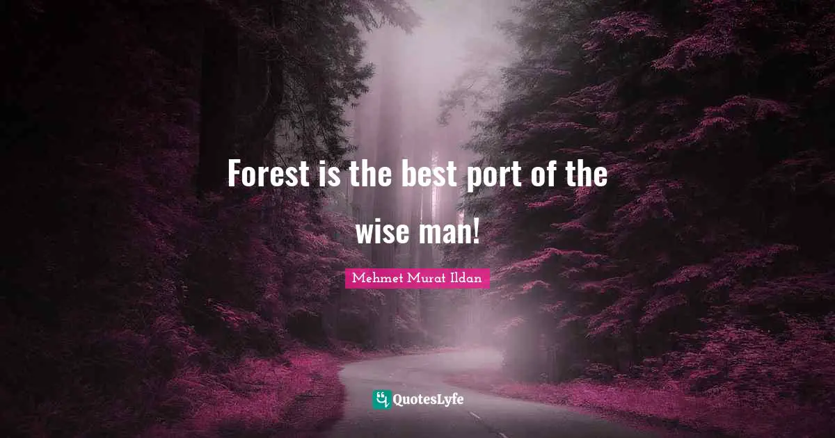 Forest is the best port of the wise man!