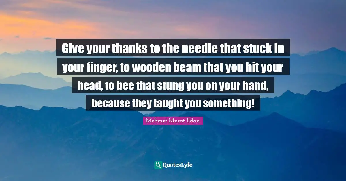 Give your thanks to the needle that stuck in your finger, to wooden beam that you hit your head, to bee that stung you on your hand, because they taught you something!