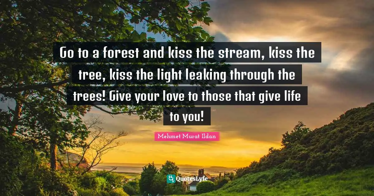 Go to a forest and kiss the stream, kiss the tree, kiss the light leaking through the trees! Give your love to those that give life to you!