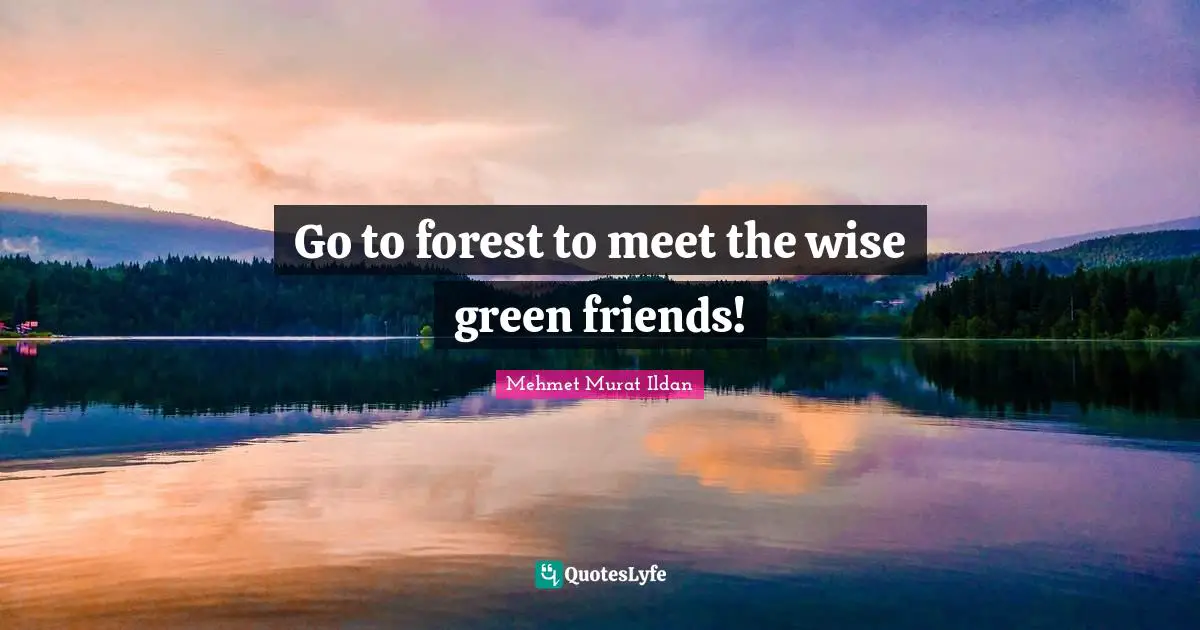 Go to forest to meet the wise green friends!