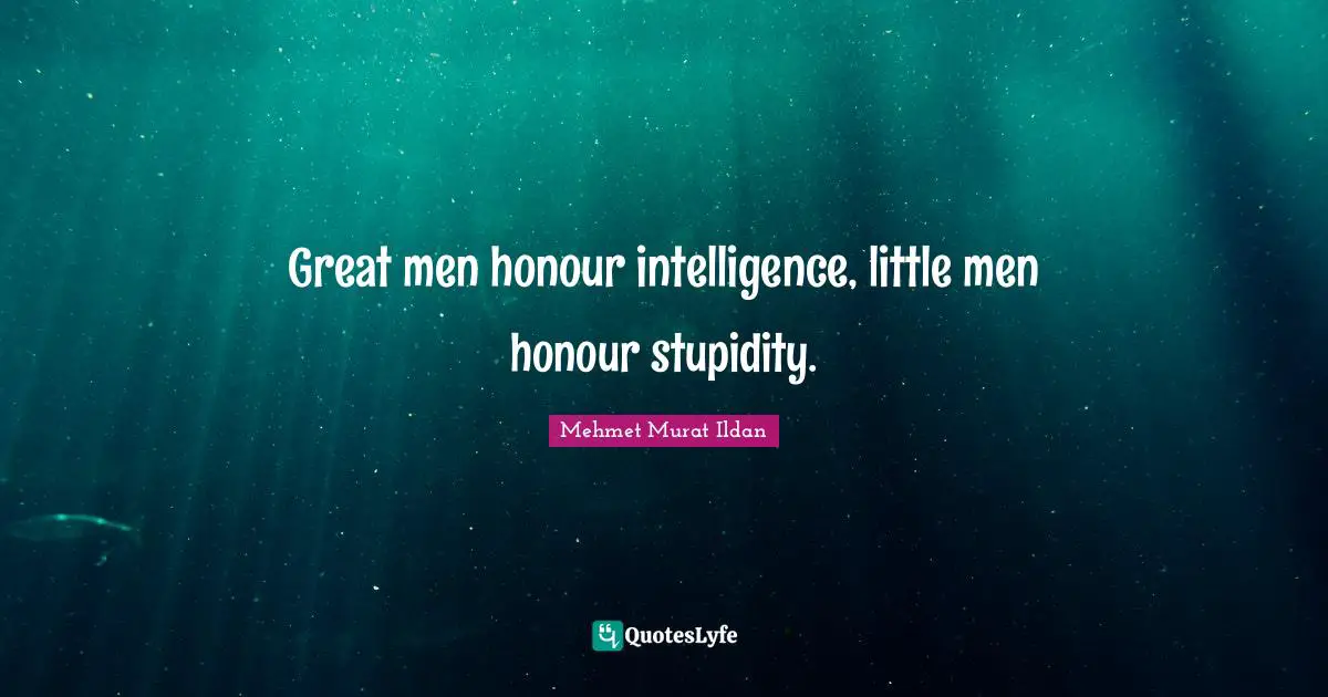 Great men honour intelligence, little men honour stupidity.