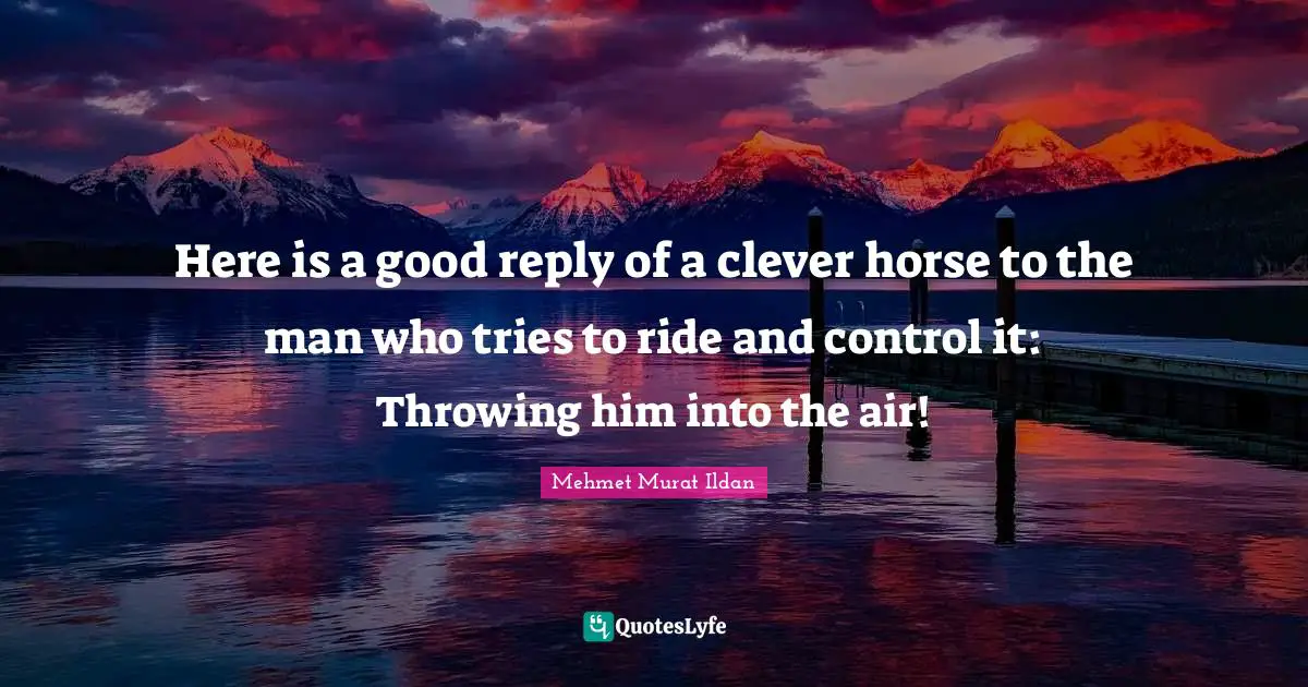 Here is a good reply of a clever horse to the man who tries to ride and control it: Throwing him into the air!