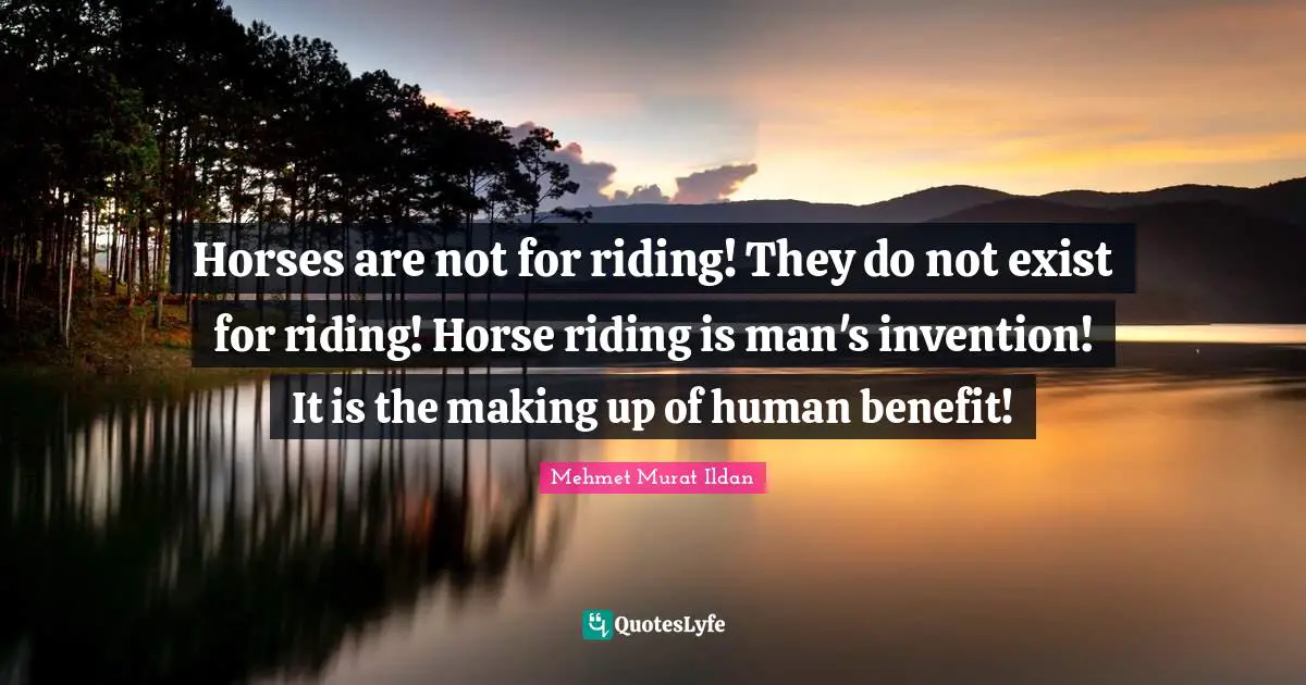 Horses are not for riding! They do not exist for riding! Horse riding is man's invention! It is the making up of human benefit!