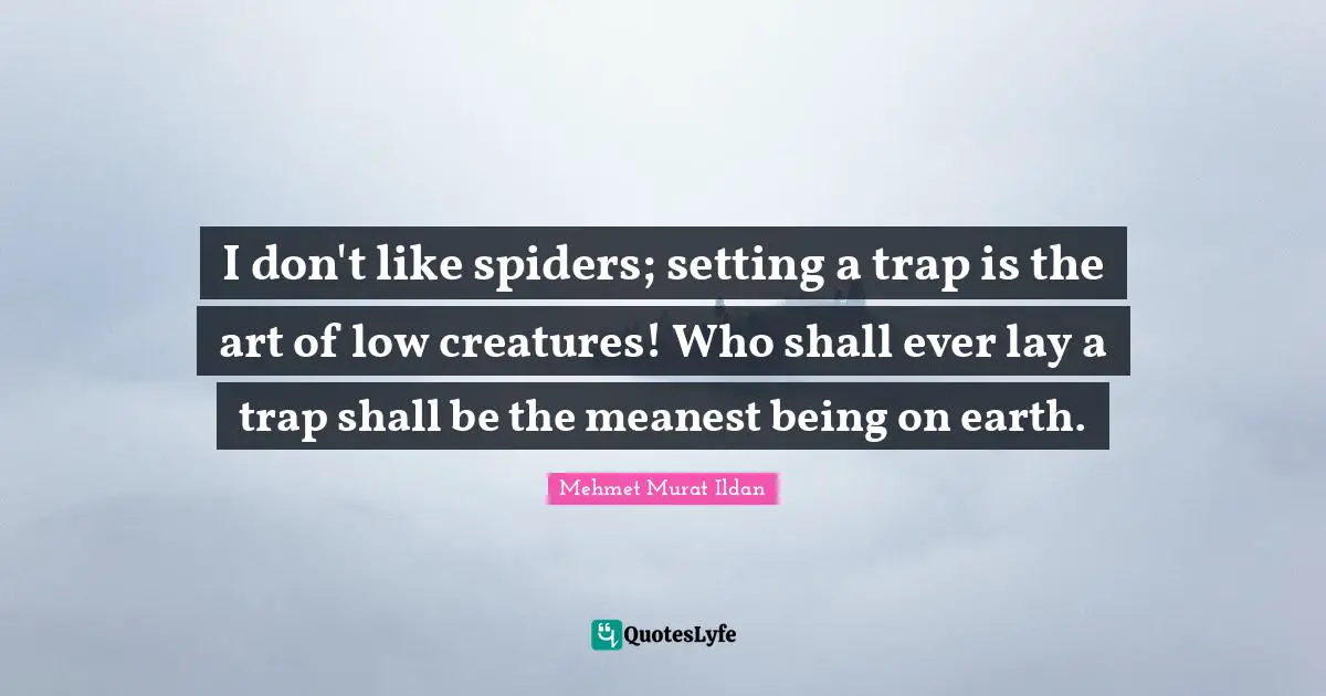 I don't like spiders; setting a trap is the art of low creatures! Who shall ever lay a trap shall be the meanest being on earth.