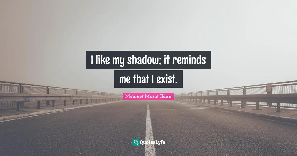 Shadow Quotes: "I like my shadow; it reminds me that I exist."