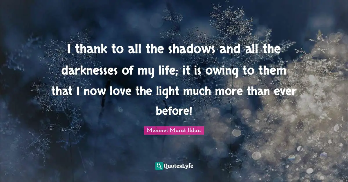 I thank to all the shadows and all the darknesses of my life; it is owing to them that I now love the light much more than ever before!