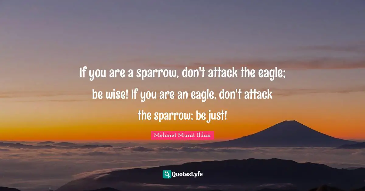 If you are a sparrow, don't attack the eagle; be wise! If you are an eagle, don't attack the sparrow; be just!