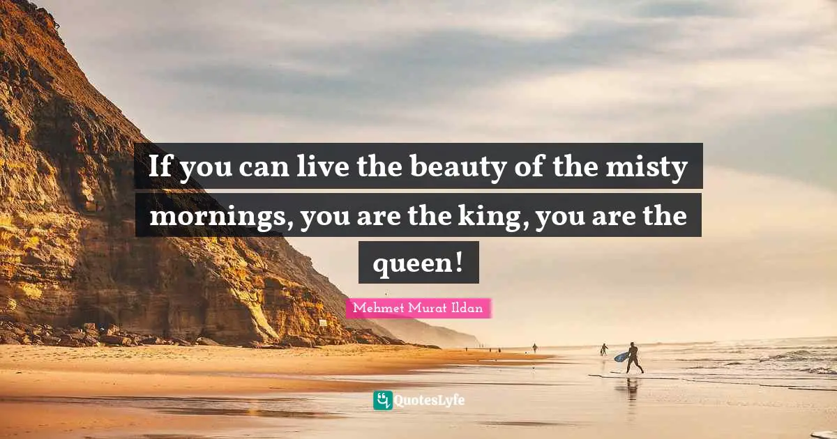 If you can live the beauty of the misty mornings, you are the king, you are the queen!