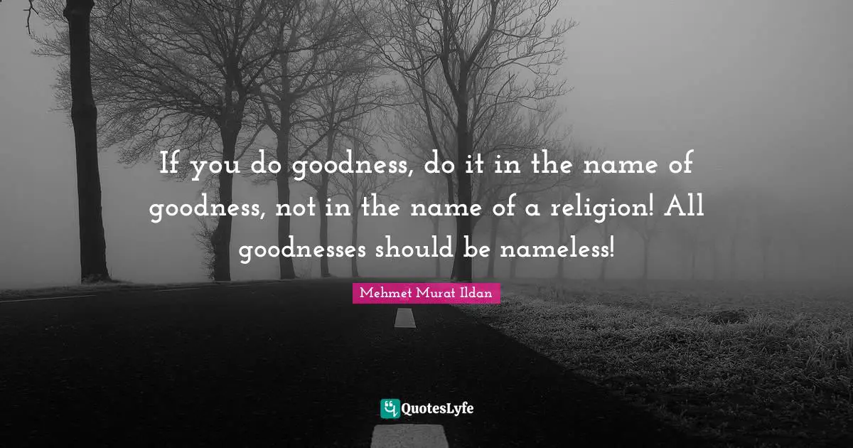 Nameless Quotes: "If you do goodness, do it in the name of goodness, not in the name of a religion! All goodnesses should be nameless!"