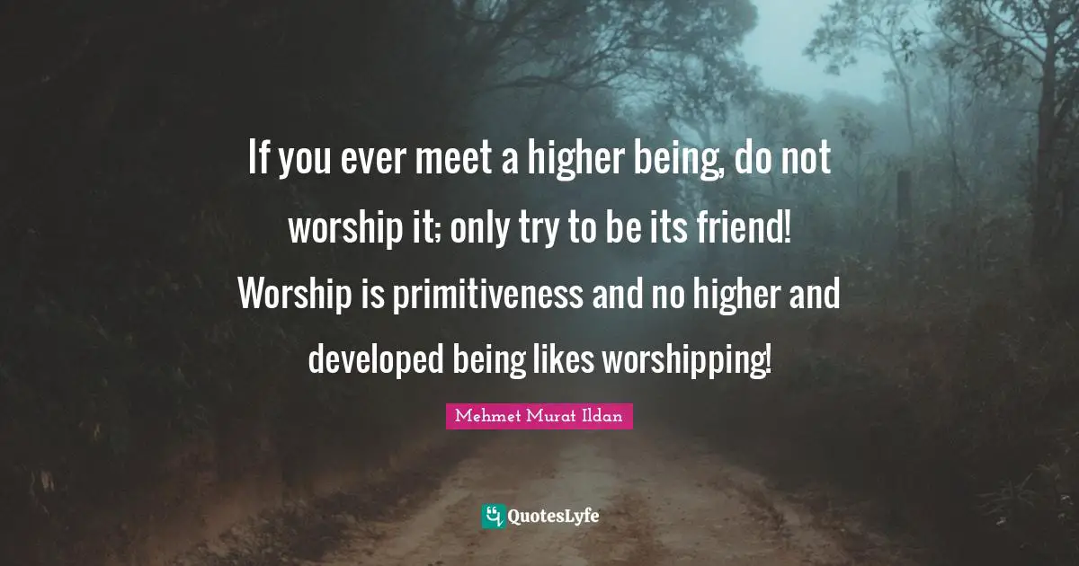 If you ever meet a higher being, do not worship it; only try to be its friend! Worship is primitiveness and no higher and developed being likes worshipping!