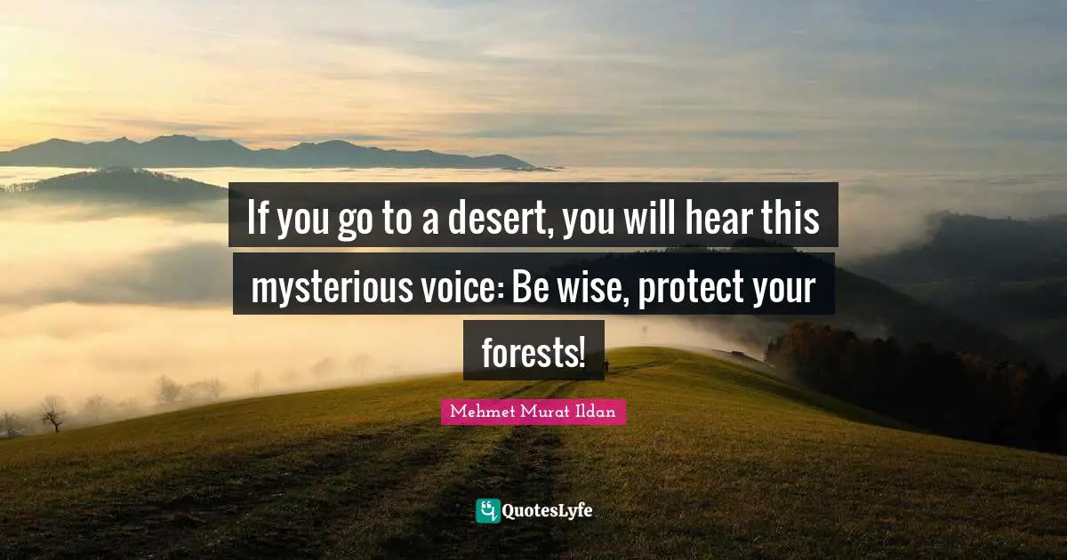 If you go to a desert, you will hear this mysterious voice: Be wise, protect your forests!