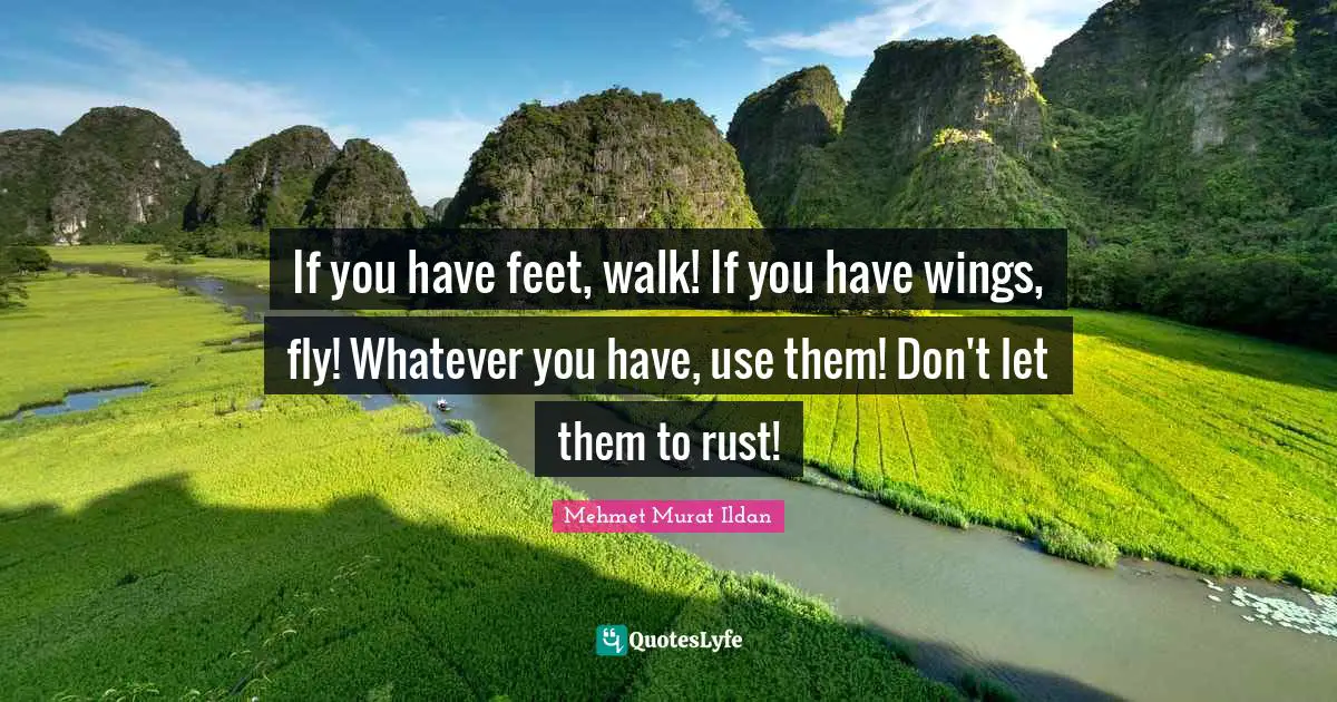 Rust Quotes: "If you have feet, walk! If you have wings, fly! Whatever you have, use them! Don't let them to rust!"