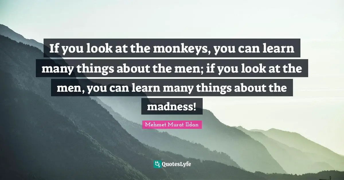 If you look at the monkeys, you can learn many things about the men; if you look at the men, you can learn many things about the madness!