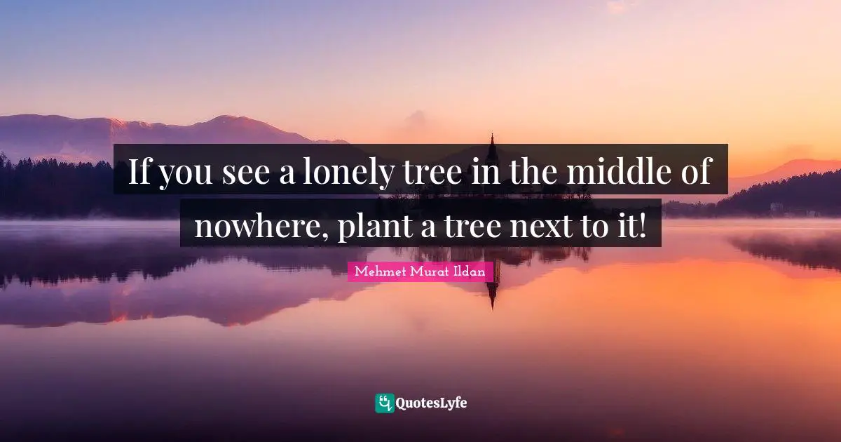 If you see a lonely tree in the middle of nowhere, plant a tree next to it!
