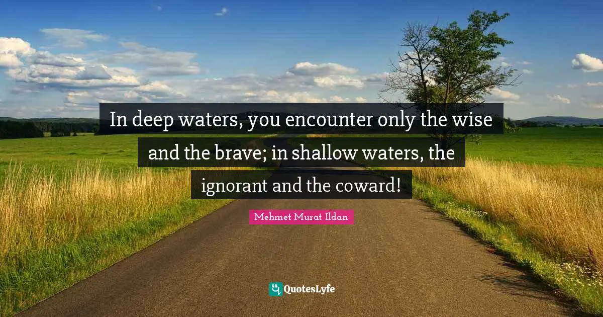 Deep Water Quotes: "In deep waters, you encounter only the wise and the brave; in shallow waters, the ignorant and the coward!"