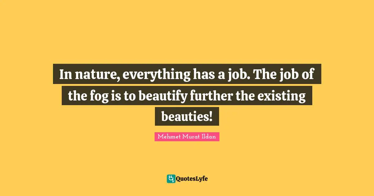 Mehmet Murat Ildan Quotes: In nature, everything has a job. The job of the fog is to beautify further the existing beauties!