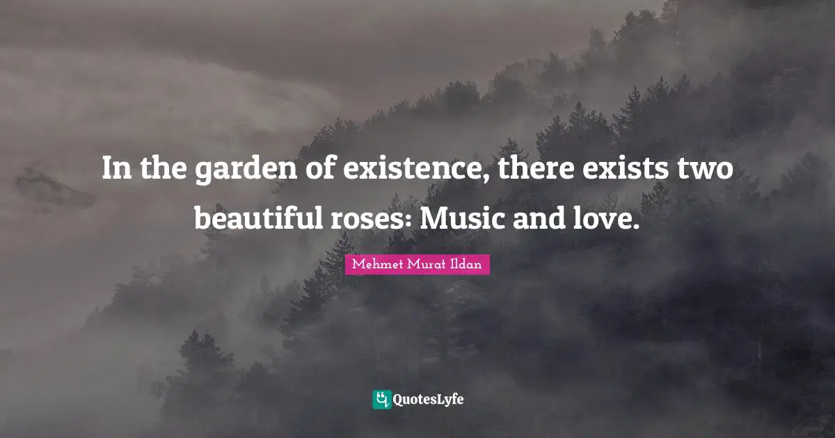 In the garden of existence, there exists two beautiful roses: Music and love.