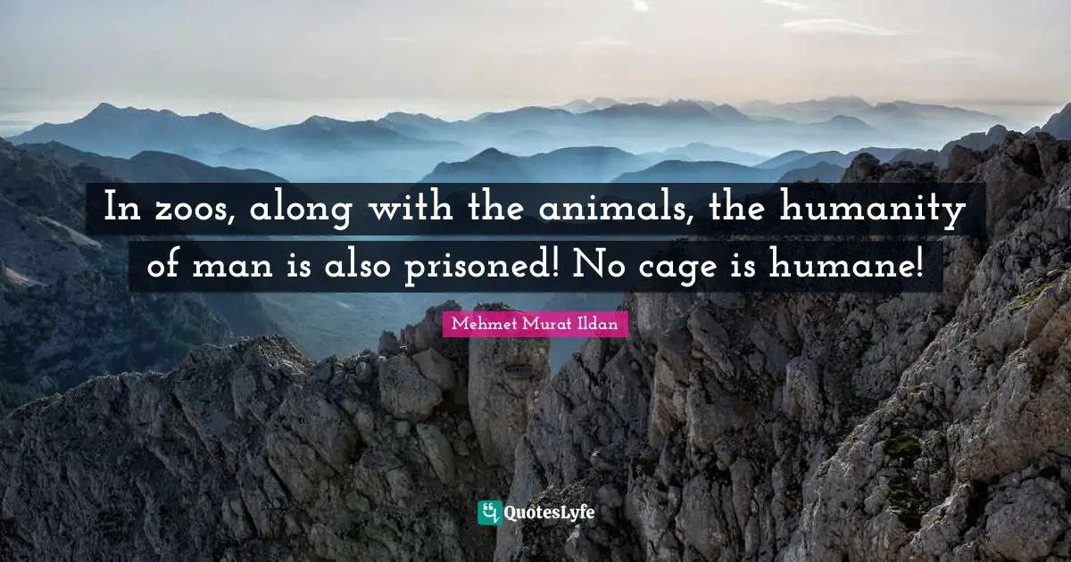 In zoos, along with the animals, the humanity of man is also prisoned! No cage is humane!