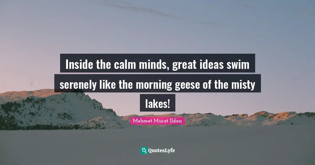 Geese Quotes: "Inside the calm minds, great ideas swim serenely like the morning geese of the misty lakes!"